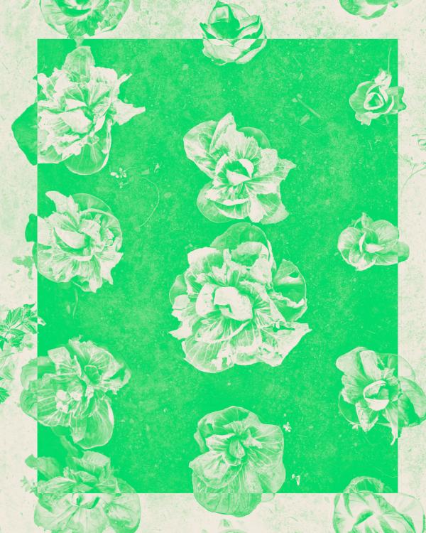 flowers texture green